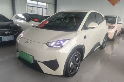 BYD Seagull