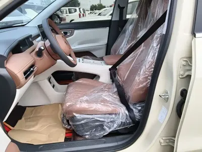 Wuling 缤果S