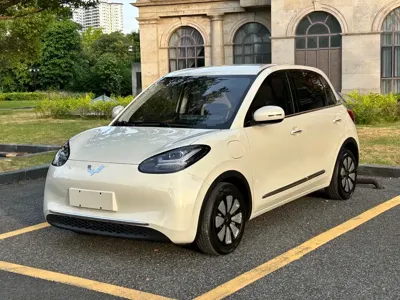 Wuling Bingo