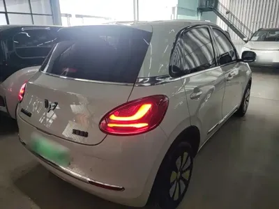 Wuling Bingo