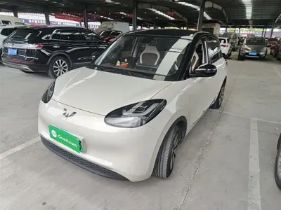 Wuling Bingo