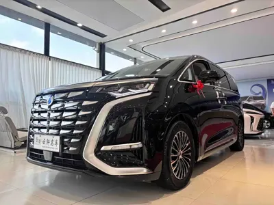 Denza Denza D9