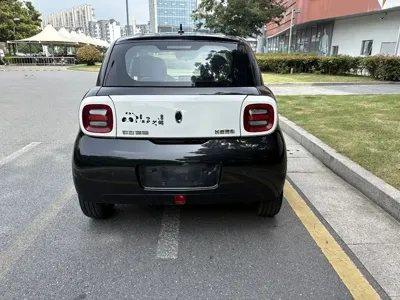 ORA Ora Black Cat