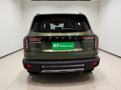 Haval Big Dog