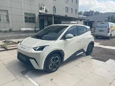 BYD Seagull