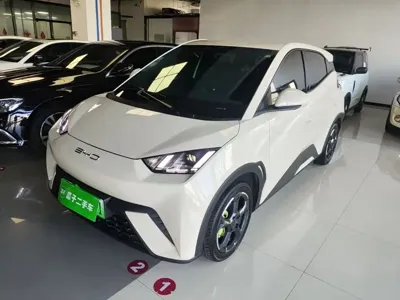 BYD Seagull