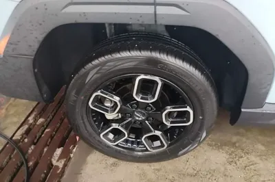 Haval X DOG