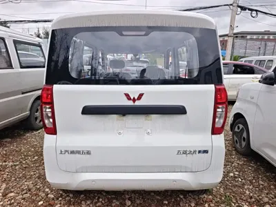 Wuling Zhiguang EV