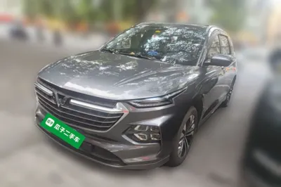 Wuling Victory