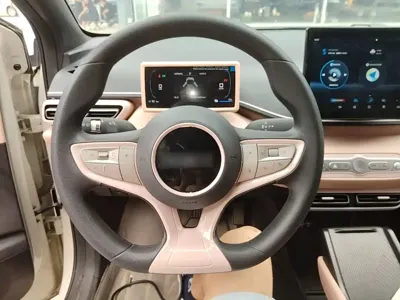 BYD Seagull