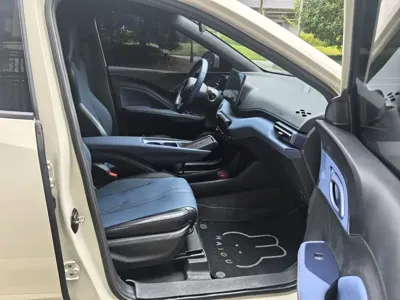 BYD Seagull