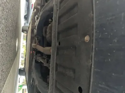 NETA Neta L