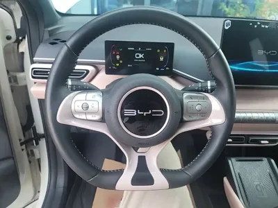 BYD Seagull