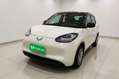 Wuling Bingo