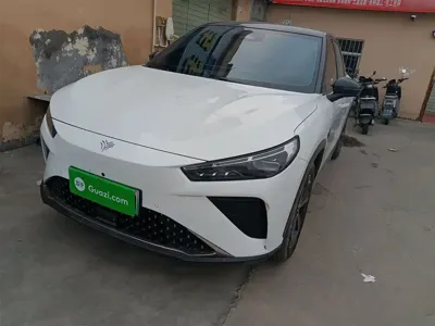 NETA Neta L