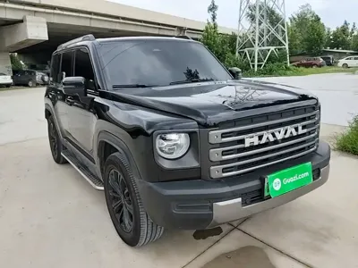 Haval Menglong New Energy