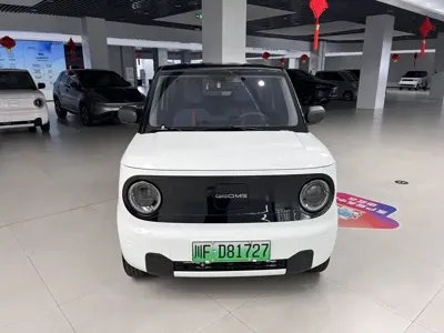 Galaxy Panda