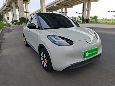 Wuling Bingo