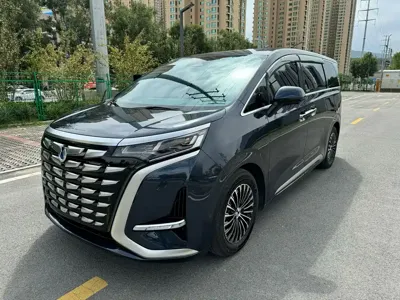 Denza Denza D9