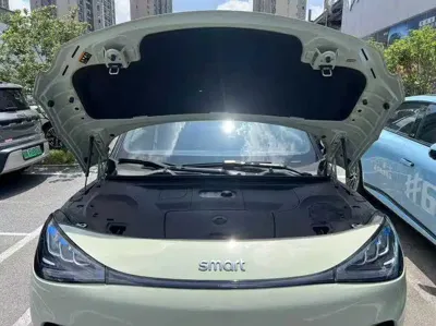 Smart Smart #1