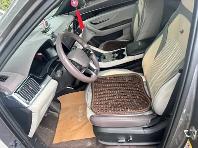 BYD PLUS New Energy