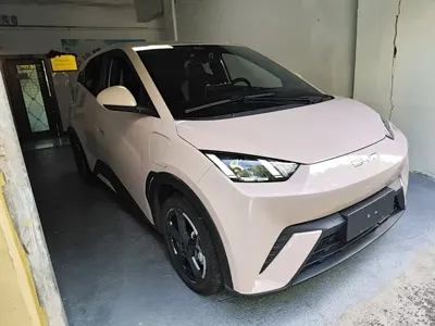 BYD Seagull