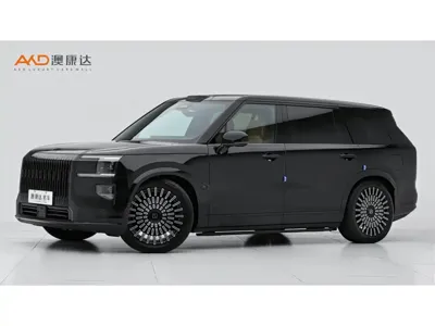 Zeekr 极氪9X