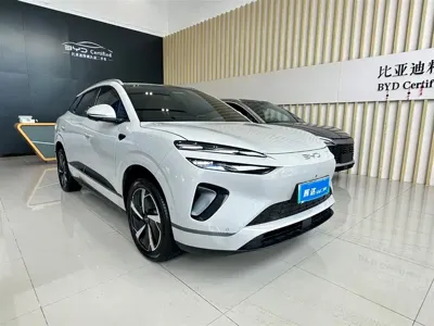BYD 海狮06