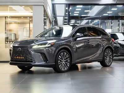 Lexus RX New Energy