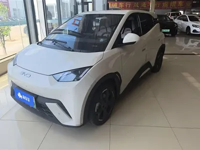 BYD Seagull