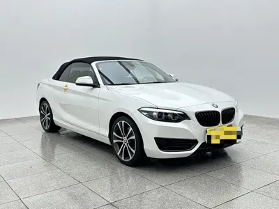 BMW 2 Series (Import)