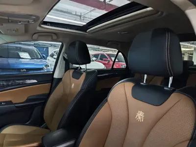 BYD Qin NEV