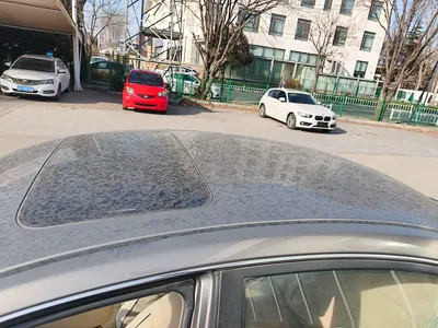 Nissan Sylphi