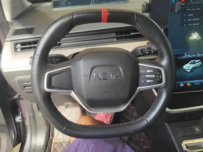 NETA Neta V