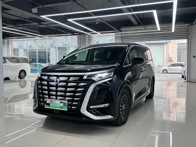 Denza Denza D9