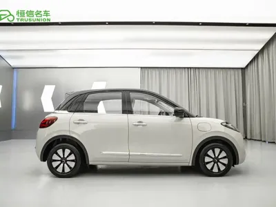 Wuling Bingo