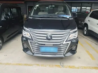 Fengxing Lingzhi