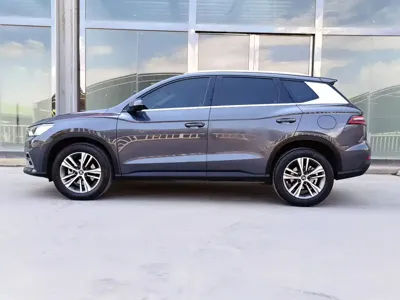 BYD Pro