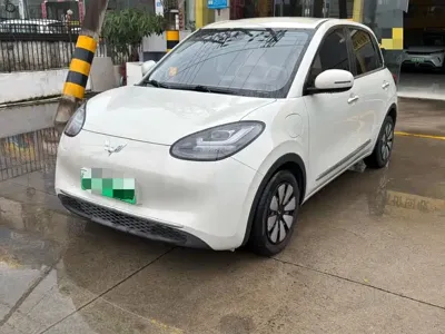 Wuling Bingo
