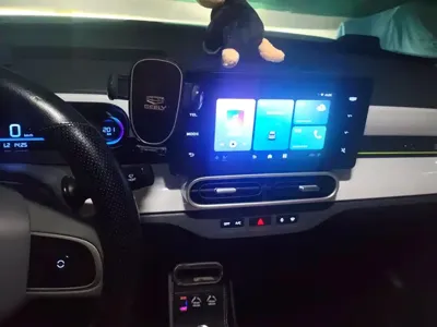Galaxy Panda