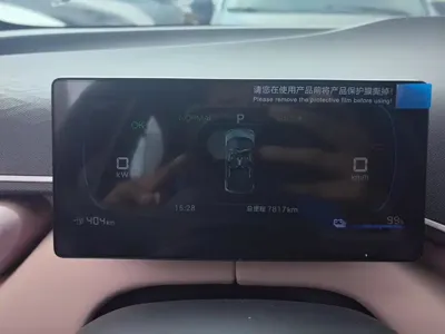 BYD Seagull