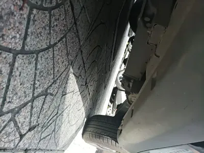 NETA Neta V