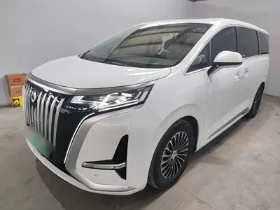 Denza Denza D9