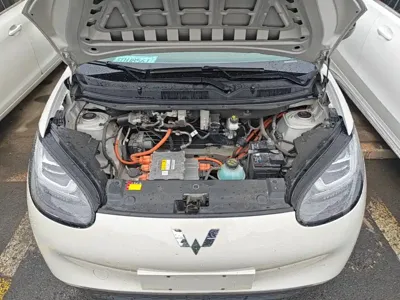 Wuling Bingo