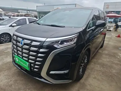 Denza Denza D9