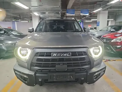 Haval Big Dog