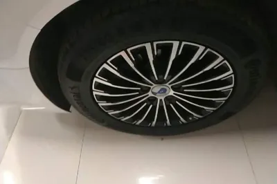 Denza D9