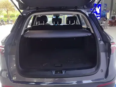 BYD Pro