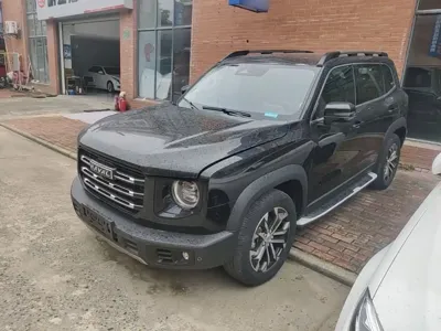 Haval Big Dog