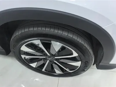 BYD PLUS New Energy